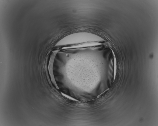 X0000094340617200711241853