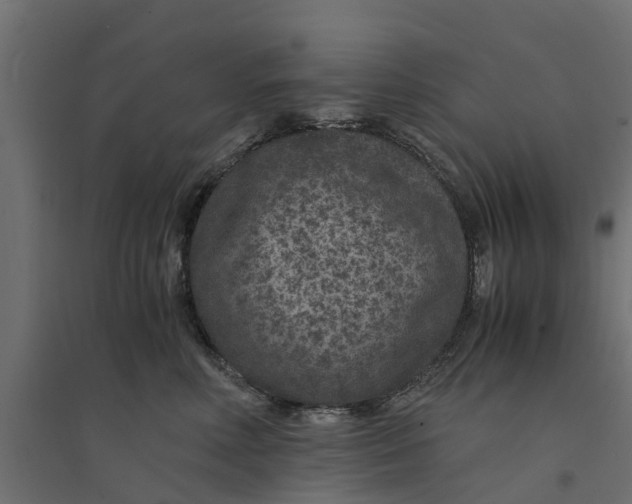 X0000094340618200711241853