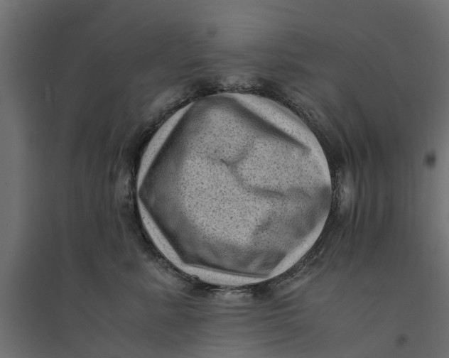 X0000094340619200711241853