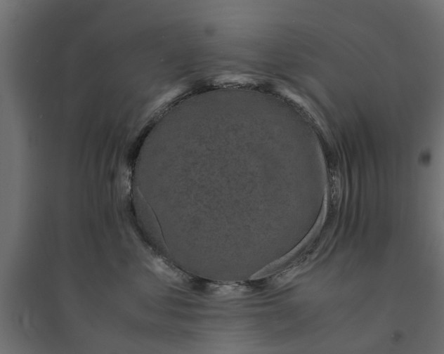 X0000094340621200711241853