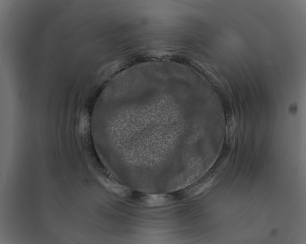 X0000094340623200711241853