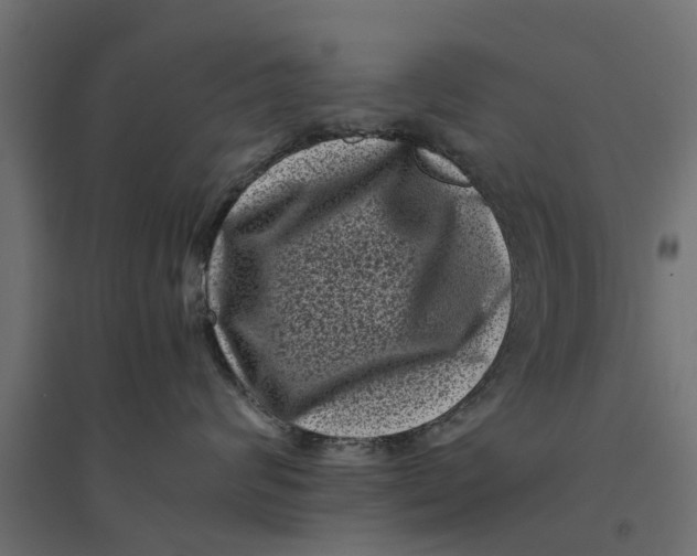 X0000094340624200711241853