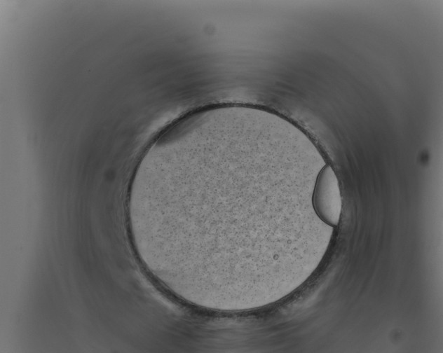 X0000094340625200711241853