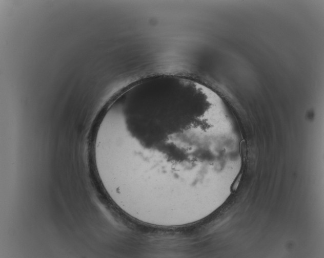 X0000094340626200711241853