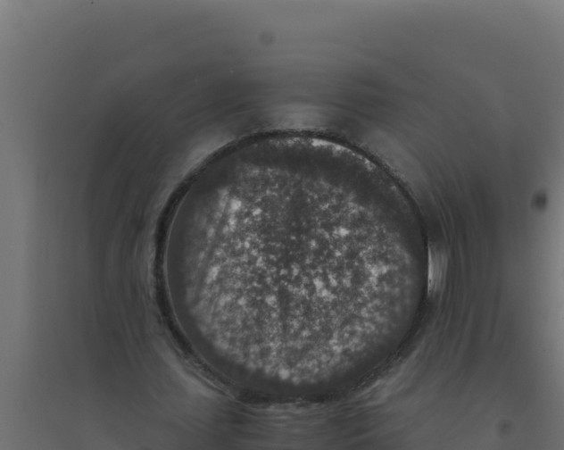 X0000094340627200711241853