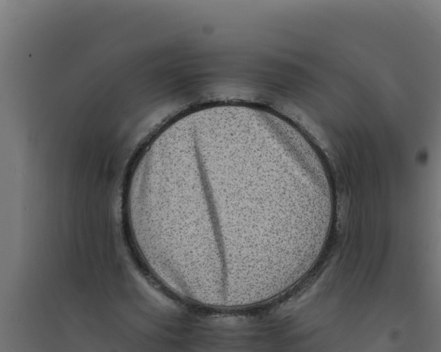 X0000094340629200711241853