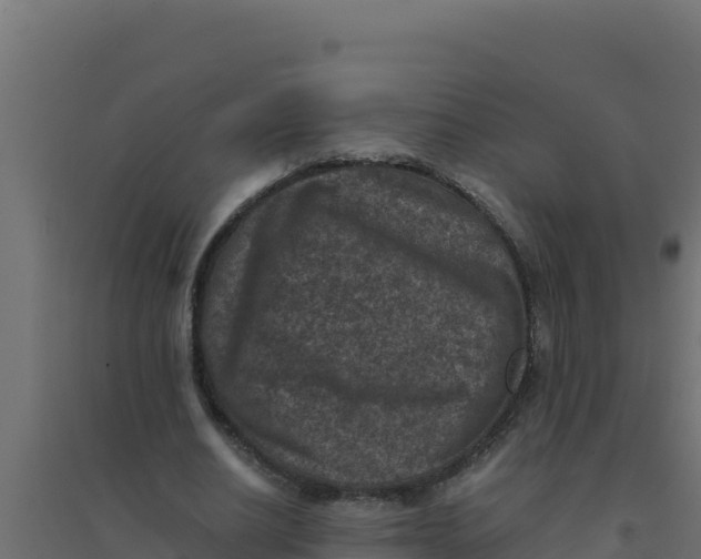 X0000094340630200711241853