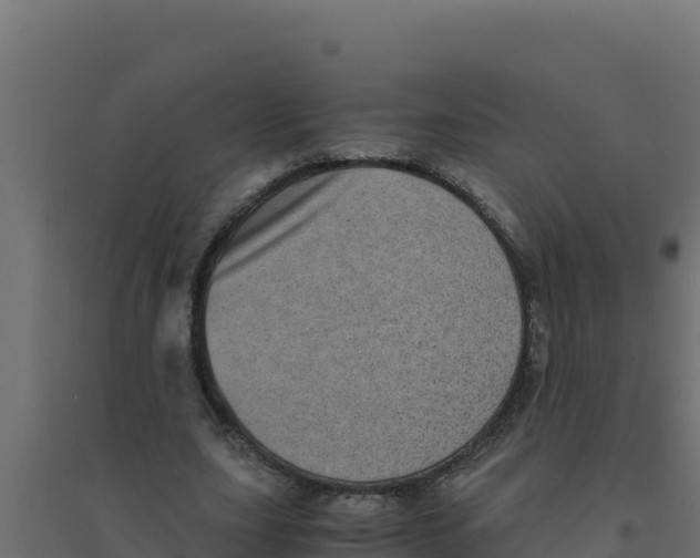 X0000094340631200711241853