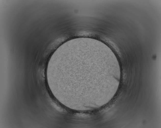 X0000094340633200711241853