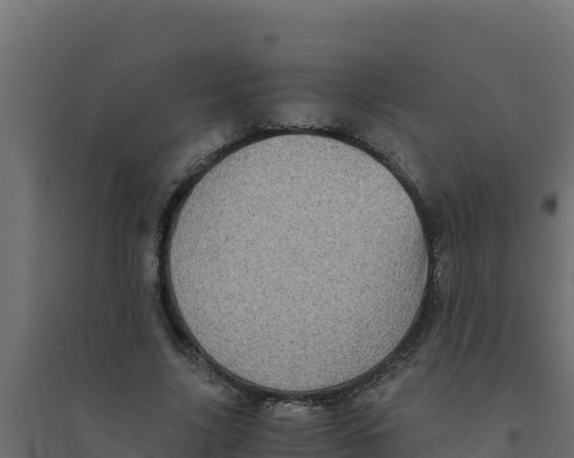 X0000094340635200711241853