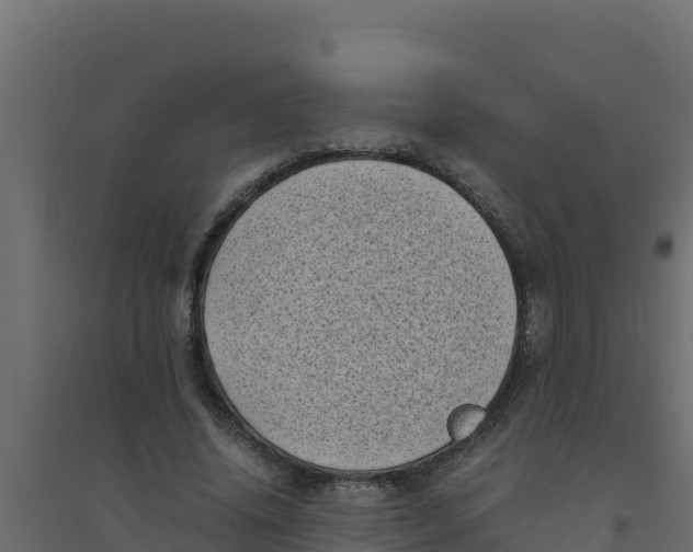 X0000094340636200711241853