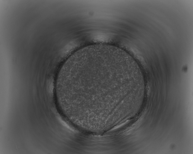 X0000094340637200711241853