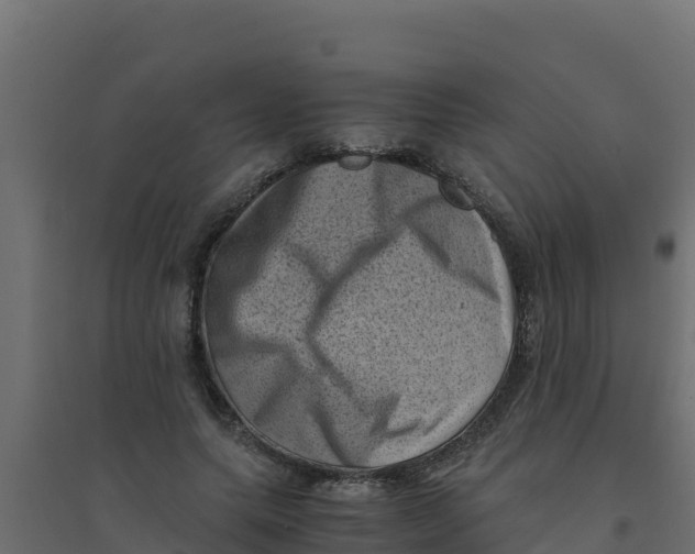 X0000094340639200711241853