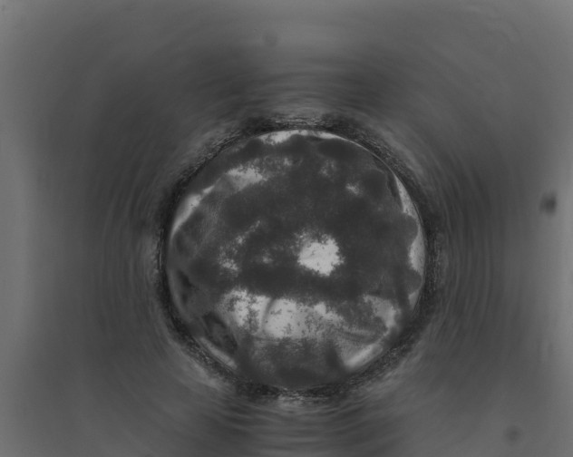 X0000094340641200711241853