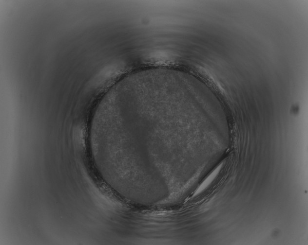 X0000094340643200711241853