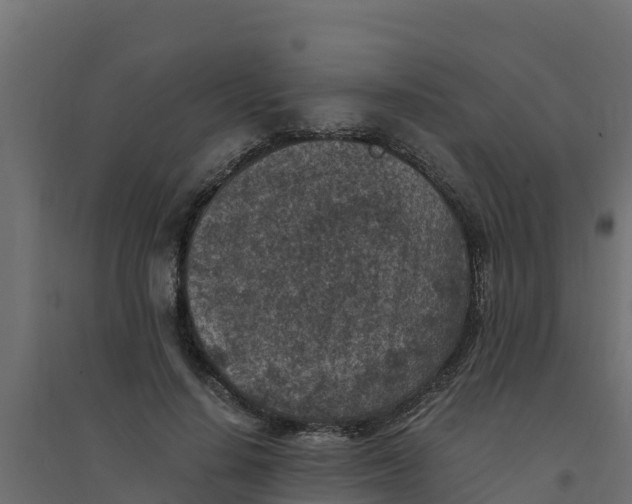 X0000094340644200711241853