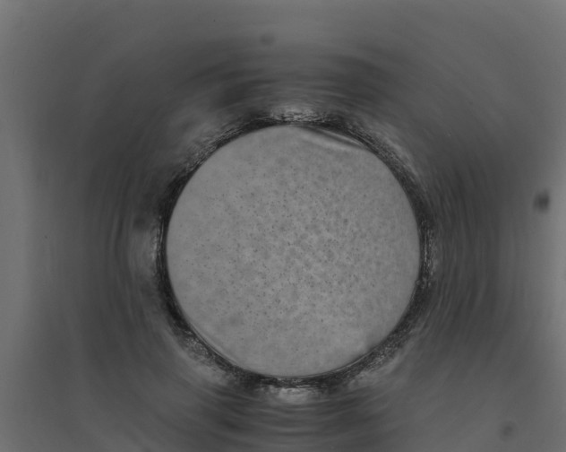 X0000094340645200711241853