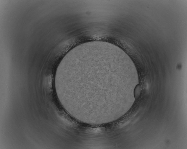 X0000094340646200711241853