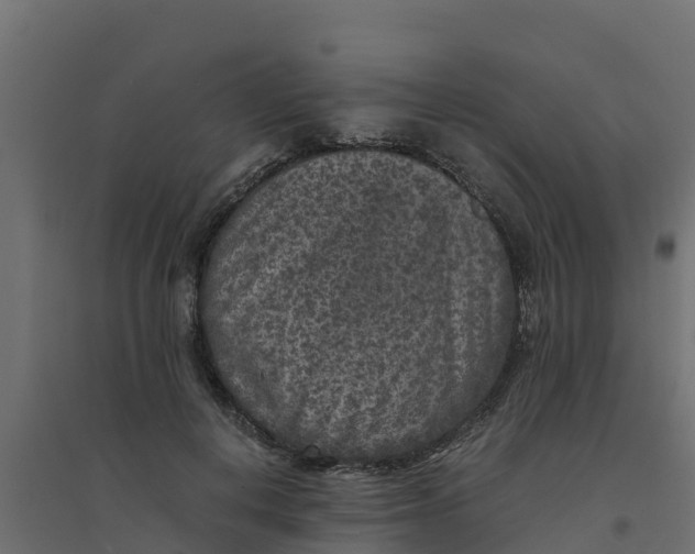 X0000094340648200711241853