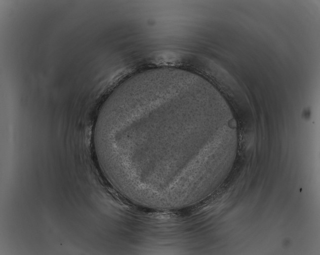 X0000094340652200711241853