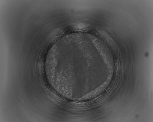 X0000094340653200711241853