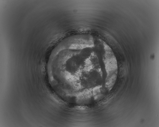 X0000094340654200711241853