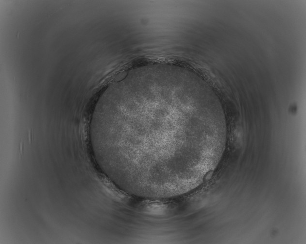 X0000094340658200711241853