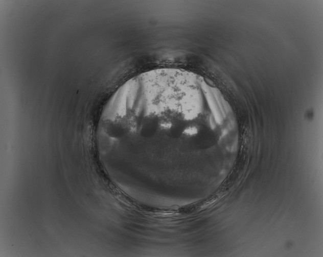 X0000094340659200711241853