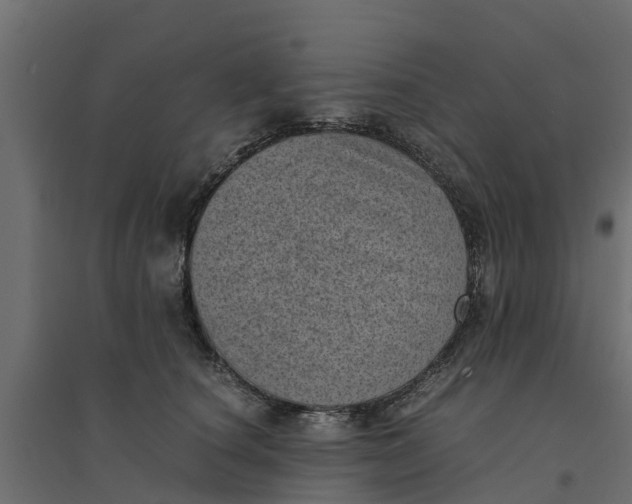 X0000094340660200711241853