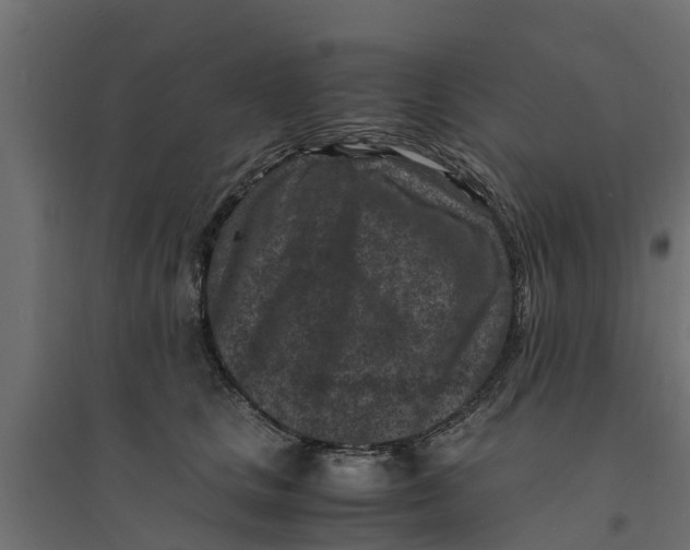 X0000094340661200711241853