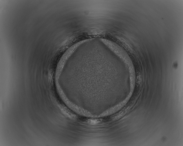 X0000094340662200711241853