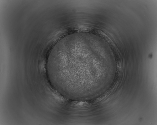 X0000094340663200711241853