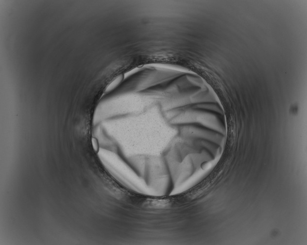 X0000094340665200711241853