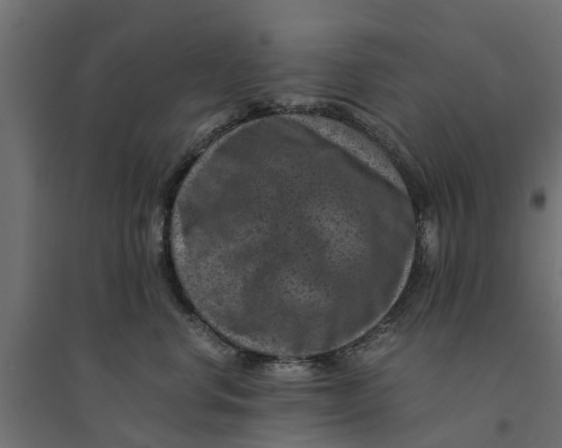 X0000094340668200711241853