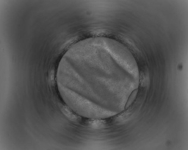 X0000094340670200711241853