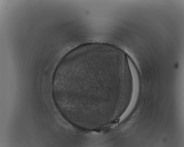 X0000094340673200711241853