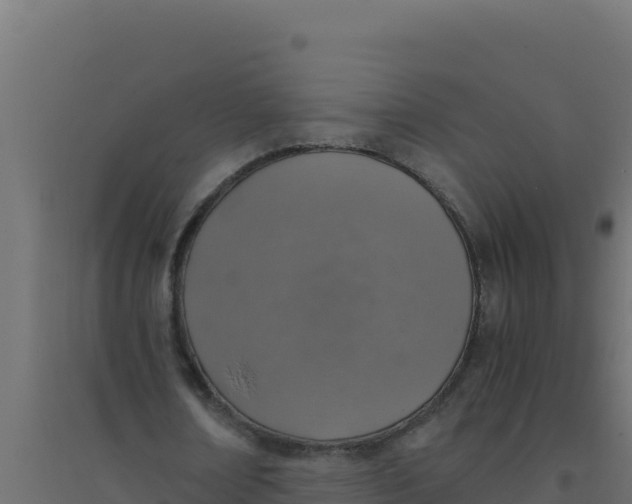 X0000094340674200711241853