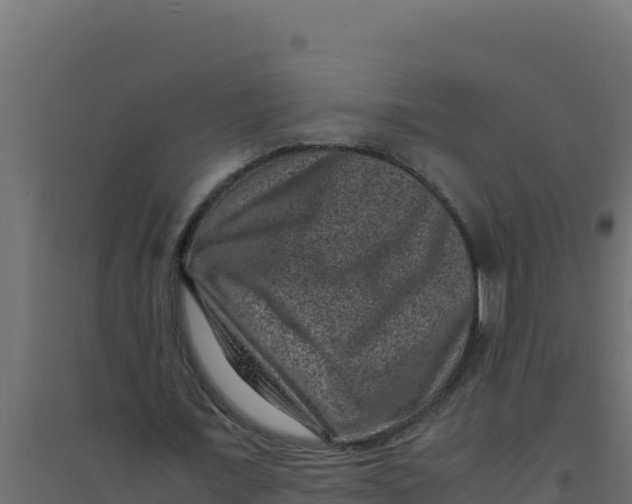 X0000094340675200711241853