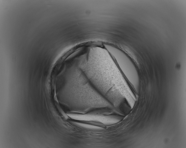 X0000094340676200711241853