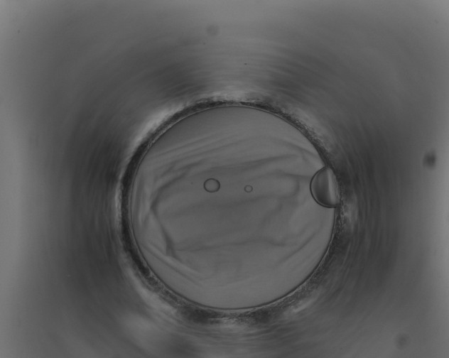 X0000094340678200711241853