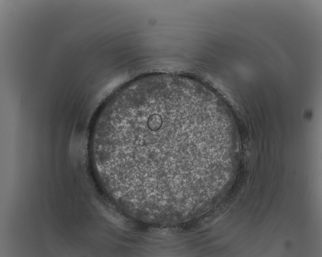 X0000094340679200711241853