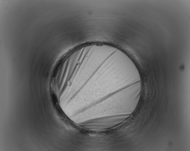 X0000094340680200711241853