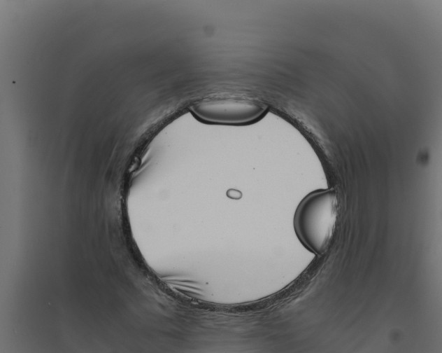 X0000094340681200711241853