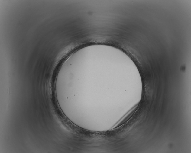 X0000094340682200711241853