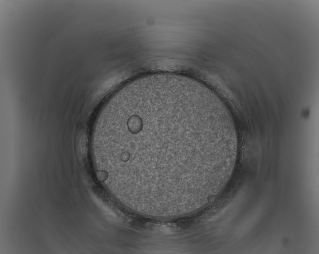 X0000094340683200711241853