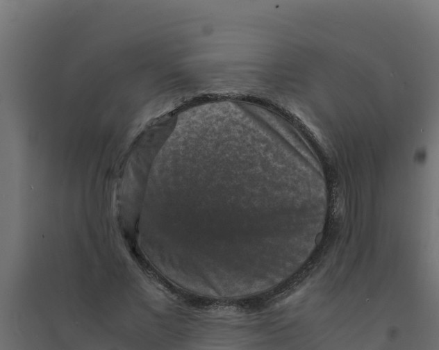 X0000094340685200711241853