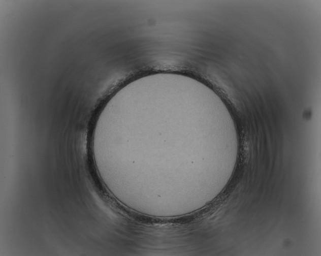 X0000094340686200711241853