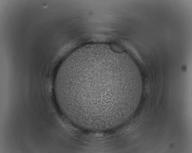 X0000094340687200711241852