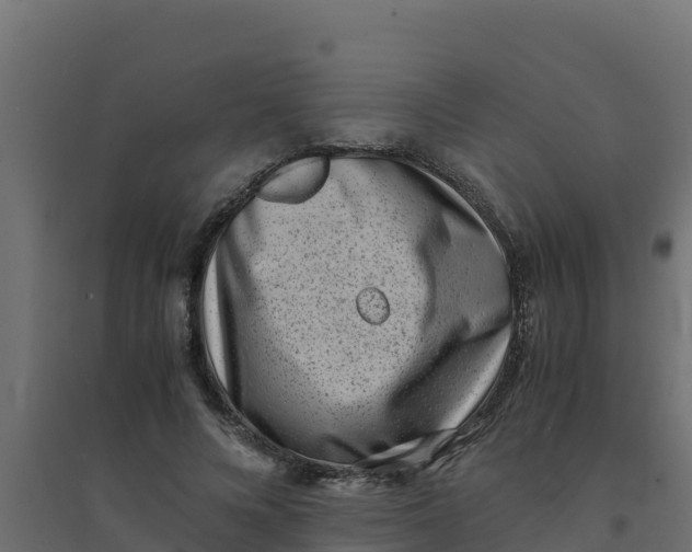 X0000094340688200711241852