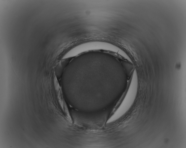 X0000094340689200711241852